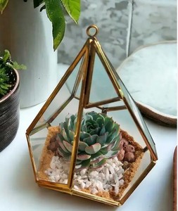 Terrario de plantas de vidrio y Metal dorado de diseño moderno, diseño de lujo de alta calidad para el hogar, restaurante, decoración de Hotel, Idea de regalo - Product Image 2
