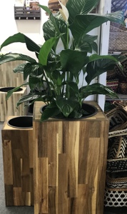 Meilleure vente ODM en bois Grand pot de fleurs en acacia pour la décoration intérieure Vente en gros de haute qualité Utilisation au sol Fabriqué au Vietnam - Product Image 6
