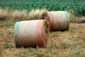 HDPE Anti-UV Bale <strong>Net</strong> <strong>Wrap</strong> Biodegradable <strong>Plastic</strong> Mesh <strong>Pallet</strong> <strong>Nets</strong> for Hay &amp; Agriculture HDPE New Design - Product Image 2
