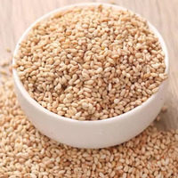 Sésame noir nettoyé |   Non torréfié |   ORIGINE THAÏLANDE |   pour la confiserie et les aliments santé |   QUALITÉ ALIMENTAIRE |   Durée de conservation de 24 mois |   EN GROS