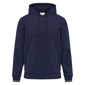 Sweat-shirt à capuche en coton biologique en gros, 320 GSM, polaire écologique, surdimensionné, sweat-shirt à capuche vierge, impression de logo personnalisé, streetwear, OEM - Product Image 3