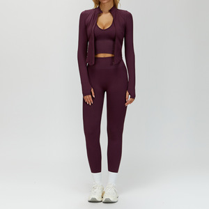 Pronto per la Spedizione: Set Yoga Invernale da Donna, Tinta Unita, Vita Alta, Manica Lunga, Abbigliamento per Allenamento in Palestra, Giacca Aderente, Reggiseno Sportivo - Product Image 4