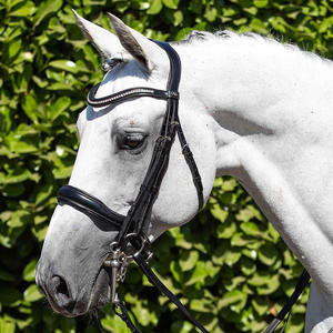 Brida y riendas anatómicas Grackle-Cabezal anatómico marrón completo Brida FREEWAY Shimmer Crystal BLING JET GREY - Product Image 4