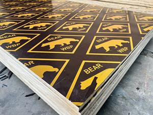 Contreplaqué de construction économique Biz Standard filmé - Product Image 2