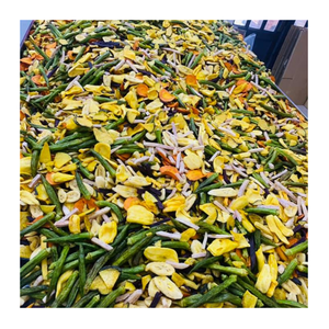 Mélange de fruits secs colorés du Vietnam de fruits secs mélangés de style frais emballé avec la douceur naturelle et la texture croquante - Product Image 6