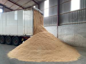 SPECIFICATIONS FOR PINE WOOD SHAVINGS Product Name: Wood Shavings for Animal Bedding Material: 100% Clean Grade Pine Wood <b>Colour</b> - Product Image 1