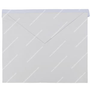 MASONIC REGALIA ENTRÓ APRENDIZAJE COMPAÑERO DELANTAL EMULACIÓN RITE - Product Image 1