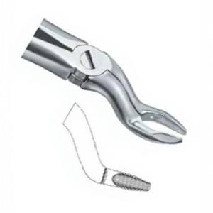 Forceps d'extraction de dents Fig57 B meilleure qualité logo personnalisé produits Instruments dentaires en acier inoxydable - Product Image 4