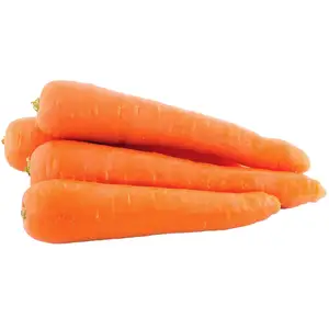 FRESH VEGETABLE- CARROT / Ms. Laries (+84) 85 250 8673