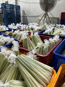 Sabor auténtico Hierba de limón fresca Picante y refrescante de alta calidad Hecho en Vietnam Incluye patatas Cebollas Zanahorias - Product Image 3