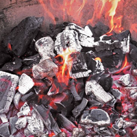Charbon de bois de mangrove Kachi d'Indonésie, bois dur sélectionné, chaleur équilibrée, faible teneur en poussière, fournisseur pour barbecue et chicha