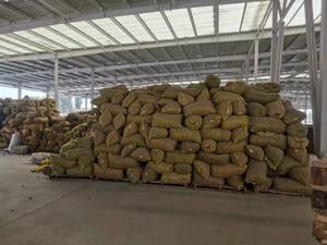 Noix de qualité - Product Image 4