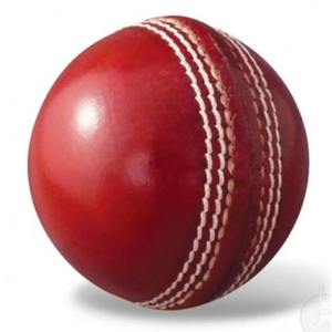 Pelota de Cricket cosida a mano de alta calidad, logotipo personalizado, 50 overs, goma roja y blanca, marca personalizada duradera de PK - Product Image 1