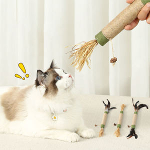 Palitos de Catnip y Silvervine Ecológicos para Gatos, Juguete Natural para Limpiar los Dientes, Palitos Gruesos de Matatabi Natural - Product Image 5