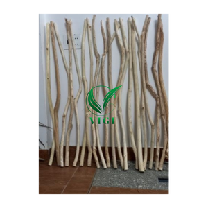 การตกแต่งต้นไม้แห้ง-ศิลปะธรรมชาติที่กำลังมาแรงจากฟาร์ม Vigi - Product Image 4