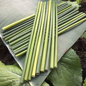 Wholesale 100% Organic No Plastic Grass <b>Straws</b> Drinking Vietnam <b>Disposable</b> With High Quality for Your Healthy Made in Vietnam - Product Image 4