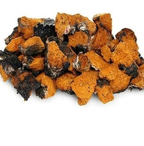 Polvo de hongo Chaga a bajo precio - Product Image 2