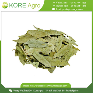 Chất lượng cao 100% tự nhiên hữu cơ <span class=keywords><strong>Senna</strong></span> lá trà thảo mộc cho bị mất trọng lượng ở mức giá tốt - Product Image 6