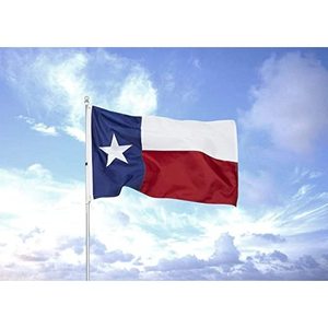 Banderas de EE. UU. TOP FLAGSINC: Bandera de Texas 4x6, resistente para exteriores, bordada y cosida, 100% nailon, colores vivos, ojales de latón, 4 puntadas. - Product Image 1