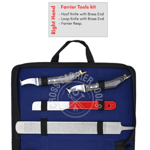 Outils complets de soin des sabots équestres et kit de ferrage, outils de maréchal-ferrant, pince à sabots de qualité supérieure, testeur, extracteur d'ongles, couteaux à sabots - Product Image 2