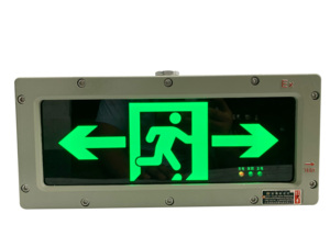 ATEX IP66 Señales DE EMERGENCIA A prueba de explosiones LED Luz de advertencia de emergencia Señal de salida Luz a prueba de explosiones - Product Image 2