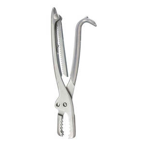 Fórceps de sujeción de hueso de alta calidad, acabado Dall, hueso quirúrgico ortopédico, fórceps de sujeción de hueso grande hechos de acero inoxidable - Product Image 2