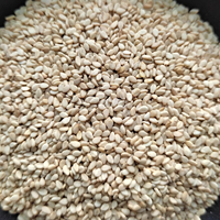 Graines de sésame blanc naturel d'Inde, qualité supérieure, sac PE/PP 50 kg, marque Eco Export, fabriqué en Inde, 5 % d'humidité, 24 mois pour l'huile