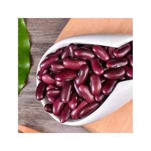 Compre frijoles rojos oscuros baratos Frijoles de riñón de forma larga para la venta Legumbres como frijoles de riñón