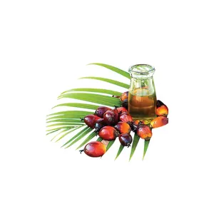 Palm Cooking Oil wholesale supply prices world wide Hot Selling Premium quality Refined Palm Cooking Oil best Palm Oil