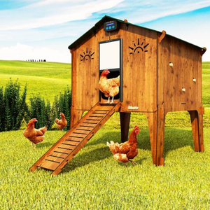 Hecho en Italia, laminado HPL de alta calidad, resistente al exterior, gallinero criado en casa - Product Image 2