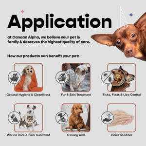 Anigiene สเปรย์กันแทะและขับไล่สัตว์เลี้ยงที่มีประสิทธิภาพสำหรับสัตว์เลี้ยงทั้งหมดรวมทั้งถุงอุจจาระฟรี - Product Image 6