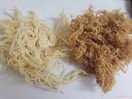 By Wholesale <b>Dried</b> Seamoss <b>Dried</b> Irish <b>Moss</b> Eucheuma Cottonii High Quality - Product Image 4
