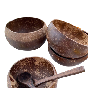 Bols en coquille de noix de coco en matériau naturel bols à salade de fruits avec décoration écologique de haute qualité de l'usine ECO2GO VIETNAM - Product Image 1