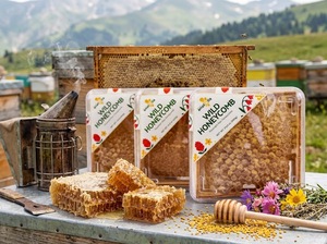 Pot de Miel en Nid d'Abeille 100% Pur Naturel Brut 400g, Miel Polyfloral Ambré Premium Certifié ISO, Durée de Conservation 5 Ans, Vente en Gros OEM - Product Image 4