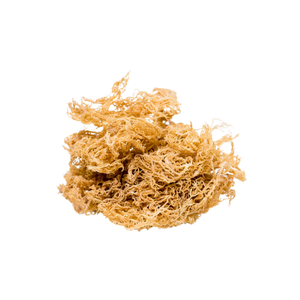 Vietnam 100% Natural High Quality Gold Sea Moss Irish Moss Wildcrafted Sun Dried Seamoss Irishmoss Dried Eucheuma Cottonii - Product Image 2