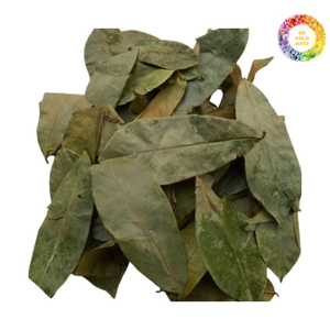 100% Hojas de Guanábana secadas al sol naturales de Vietnam-Hojas de Graviola Premium con aroma distintivo y origen limpio - Product Image 3