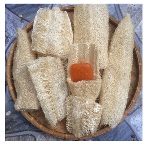 ไม้ก๊วยคุณภาพดี - Loofa/Luffa - ไม้ก๊วยแบบใช้แล้วทิ้งของโรงแรมธรรมชาติจากเวียดนามในราคาถูก - Product Image 5