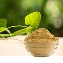 Pure Cissus Quadrangularis Hadjod Poudre à base de plantes Supplément de soutien osseux naturel Remède ayurvédique traditionnel pour la santé des articulations - Product Image 2