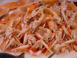 ARTICLE CHAUD 2024/COQUILLE DE CREVETTES VIETNAMIENNES POUR L'ALIMENTATION DES ANIMAUX | INGRÉDIENTS NATURELS PURS - Product Image 6