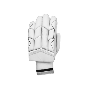 Nouveaux gants de frappe de cricket confortables gants de cricket de qualité professionnelle Personnaliser la taille et la couleur du logo nouveaux gants de cricket les plus vendus - Product Image 5