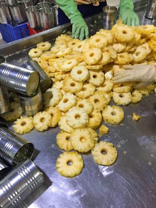 Frozen Pineapple Slices in Syrup IQF Fruit Chunks for Beverage and Food Service - Product Image 6