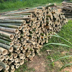 High quality solid natural <b>bamboo</b> poles Vietnam origin for gardening <b>fence</b> construction and interior decoration projects - Product Image 5