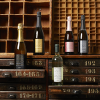 Vin mousseux rosé Pinot Noir Extra Sec, vin italien, bouteille de 750 ml, sélection GVERDI, fabriqué en Italie, vin rose vif