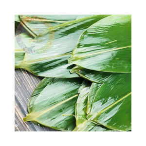 Hojas de bambú al por mayor: naturales, sostenibles e ideales para compradores a granel que buscan productos orgánicos de alta calidad - Product Image 6