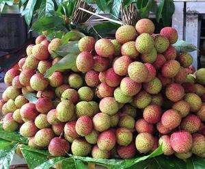 ลิ้นจี่สดผสมลิ้นจี่แช่แข็ง - Product Image 1