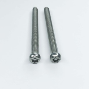 Good Price & Custom M2~M12 Stainless Steel Torx Pan Head Machine Screw Star Drive Pan Head Screw for Furniture Automotive - Product Image 5