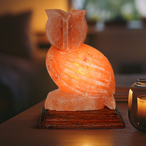 2026 Top Selling OEM ODM Custom Logo Shaped Himalayan <b>Salt</b> <b>Lamp</b> Natural Crafts for Home Decoration Customized Wholesale - Product Image 2