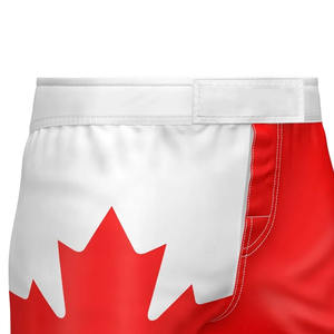 Shorts MMA en toile personnalisés avec logo avant, taille mi-haute, style vintage, respirants, haute qualité, service OEM, équipement d'entraînement de gym - Product Image 4