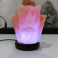 Lampe de sel de l'Himalaya rechargeable par USB en gros, OEM, marque privée, motif floral géométrique sculpté, écologique, ISO/CE JOBAK