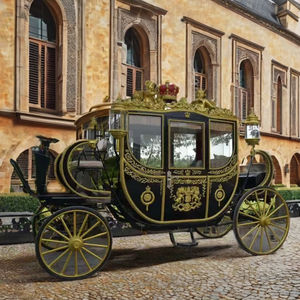 عربة حصان بوني ملكية كهربائية للنقل الخاص بواسطة عربة تجرها الخيول - Product Image 1